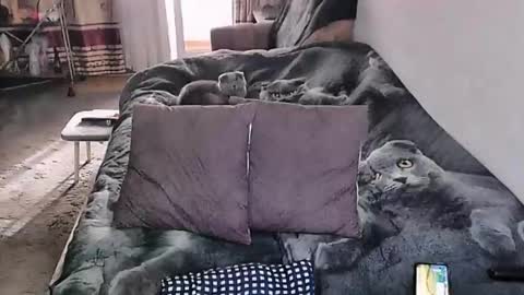 Lana online show from March 8, 1:57 am