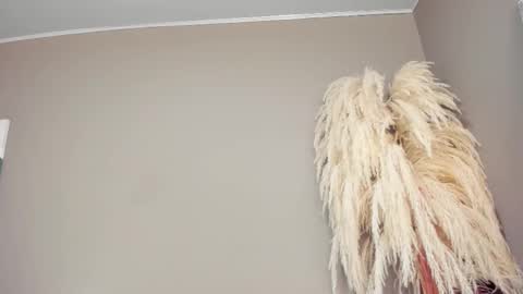 Love online show from October 14, 1:19 am