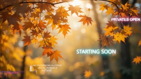 vegas_romance online show from September 28, 2:29 am