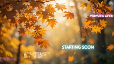 Snapshot of vegas_romance chatting on September 21, 11:47 pm vegas_romance online show from September 21, 11:47 pm