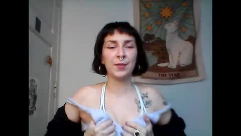 velvetdunya11 online show from October 8, 8:57 pm