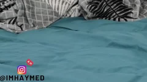 find me on chaturbate as imhaymed online show from October 2, 12:10 pm