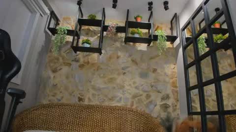 Venus Blazer  online show from October 26, 11:38 am