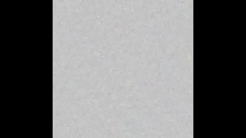 Vero  online show from January 7, 12:31 pm