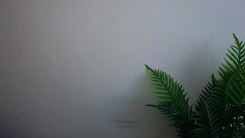 Snapshot of veryveryshygirl chatting on September 29, 12:10 pm Ana online show from September 29, 12:10 pm