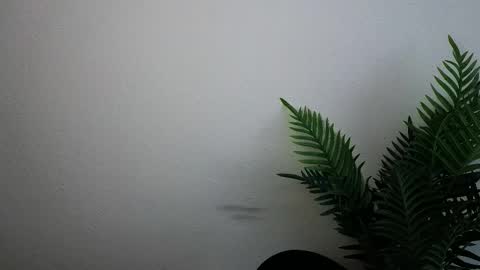 Snapshot of veryveryshygirl chatting on September 30, 12:11 pm Ana online show from September 30, 12:11 pm