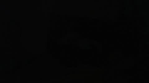 viixenscarle online show from October 5, 10:26 pm
