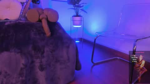 Violett  online show from November 5, 12:10 pm