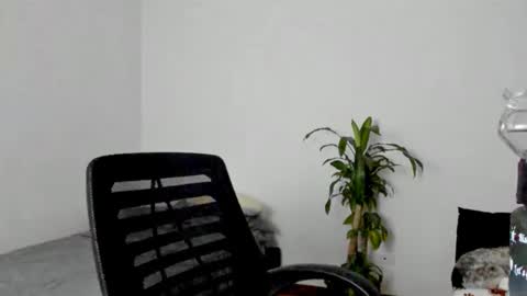 tatty online show from December 3, 4:46 am