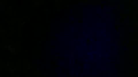 Snapshot of wildcamille chatting on January 21, 1:11 pm camille online show from January 21, 1:11 pm