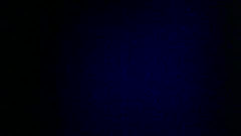 Snapshot of wildcamille chatting on February 7, 9:16 am camille online show from February 7, 9:16 am