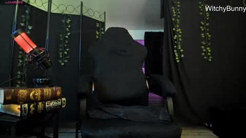 Snapshot of witchybunny chatting on December 4, 7:28 am Amanda online show from December 4, 7:28 am