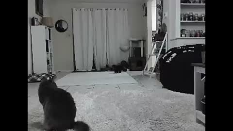 Crystal Lake online show from December 18, 5:59 am