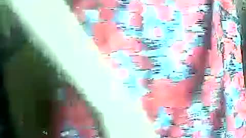 yanafiesta online show from June 27, 10:49 am
