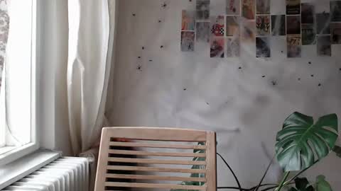 Aurora online show from November 18, 12:06 pm