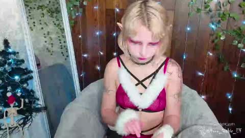 Stella online show from December 21, 3:14 am