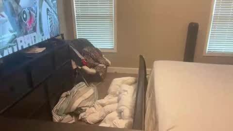 yourstrulylivy online show from January 2, 4:24 pm