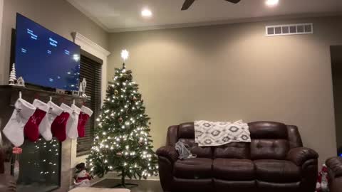 yourstrulylivy online show from December 11, 1:26 am