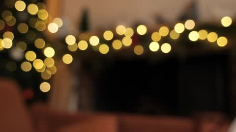 yulla dao online show from December 10, 8:27 pm