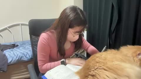 YumechangirlAnime Fan    online show from February 28, 3:04 am