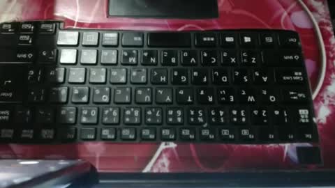 zelgly2024 online show from February 1, 11:10 am