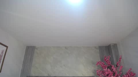 Snapshot of zhara_rose_sub chatting on December 4, 3:04 am Zhara online show from December 4, 3:04 am