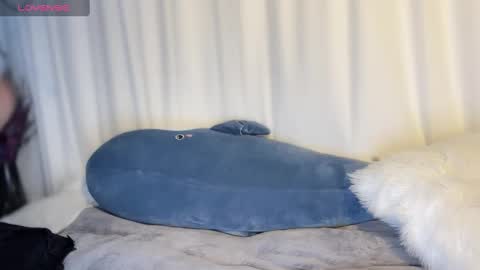 zhu_zhu_38f online show from January 13, 6:38 am