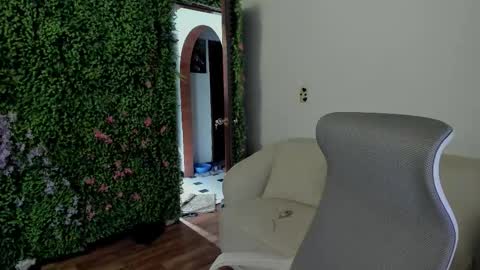 Zoe online show from December 17, 9:13 am