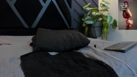 Snapshot of zoee_martins_ chatting on October 21, 7:29 pm Zoe 3 online show from October 21, 7:29 pm