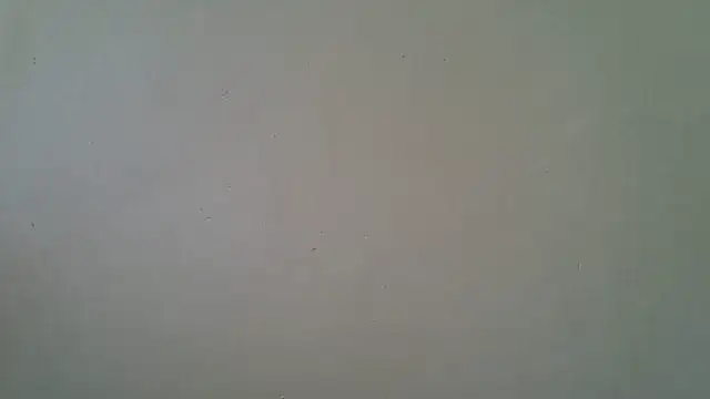 AddictiveAssCurves online show from March 18, 11:04 am