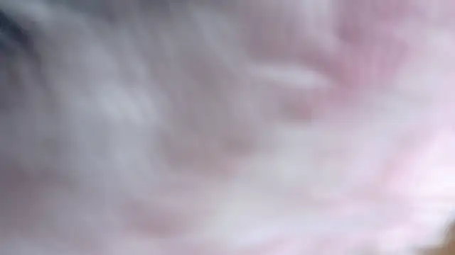 Snapshot of candymia68 chatting on September 21, 1:04 am candymia68 online show from September 21, 1:04 am