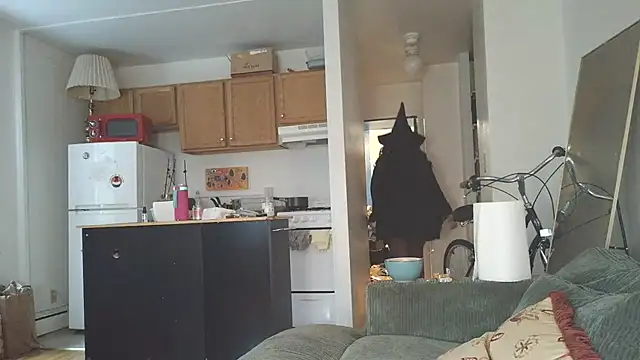 Snapshot of SiminFox chatting on October 31, 7:51 pm SiminFox online show from October 31, 7:51 pm