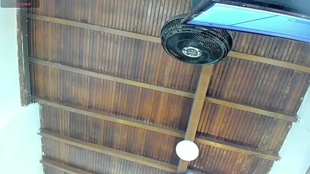 emily-fox online show from October 6, 11:05 am