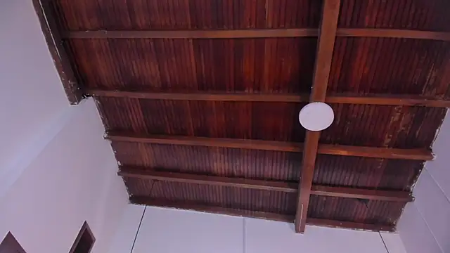 emily-fox online show from March 12, 11:02 am