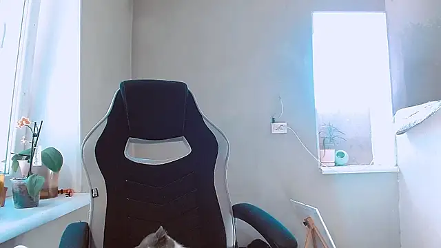 RosaJil online show from September 24, 9:41 am