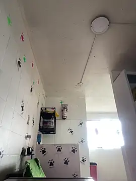 monserrat towers online show from October 14, 5:37 pm