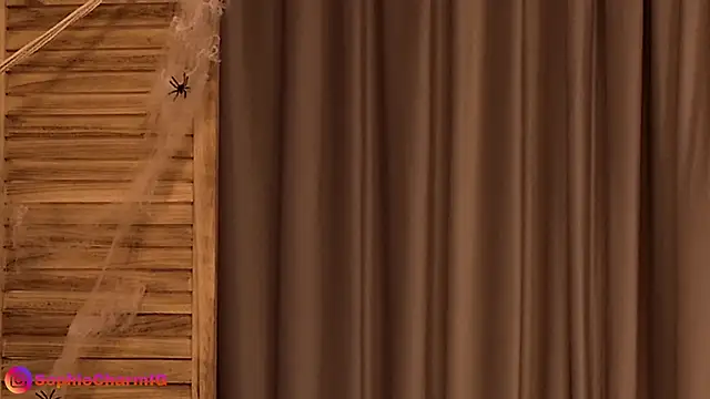 Snapshot of SophieCharm chatting on October 24, 4:41 am SophieCharm online show from October 24, 4:41 am