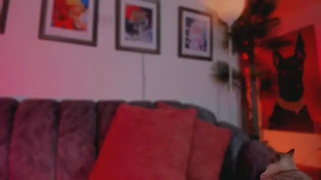 Taylor  foxxx online show from July 9, 7:44 am