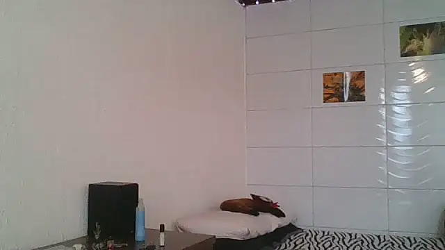 Snapshot of SweetyBabyDemon chatting on October 8, 7:51 pm SweetyBabyDemon online show from October 8, 7:51 pm