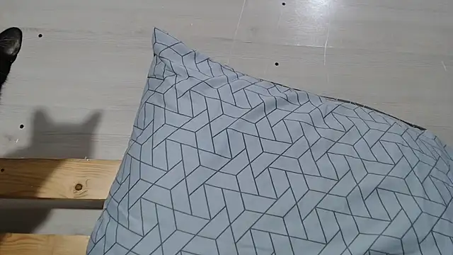 Snapshot of ANNA38 chatting on October 24, 2:57 pm ANNA38 online show from October 24, 2:57 pm