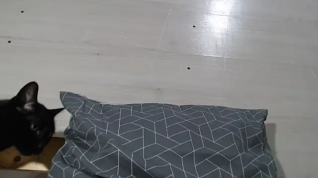 Snapshot of ANNA38 chatting on October 16, 5:04 pm ANNA38 online show from October 16, 5:04 pm