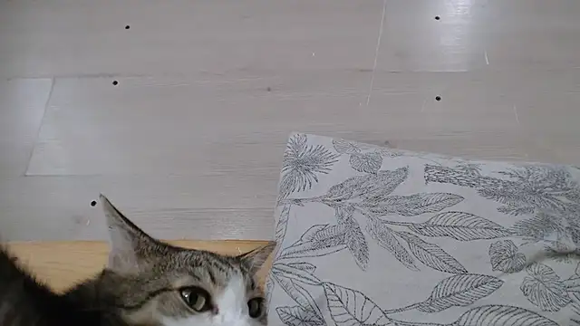 Snapshot of ANNA38 chatting on September 29, 1:27 pm ANNA38 online show from September 29, 1:27 pm