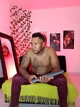 Snapshot of ARTHUR_MINI chatting on October 3, 1:00 am ARTHUR MINI online show from October 3, 1:00 am