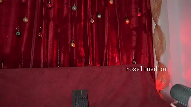 roselinedior online show from December 17, 8:13 pm