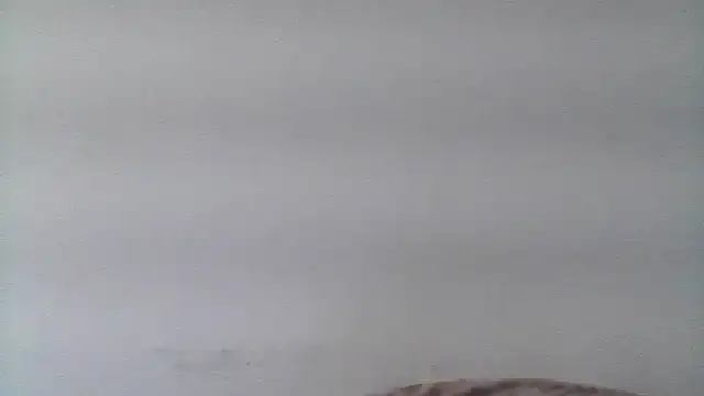 mariy  online show from November 8, 7:41 pm