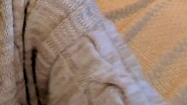 Snapshot of IceDanielles chatting on October 27, 1:50 pm IceDanielles online show from October 27, 1:50 pm