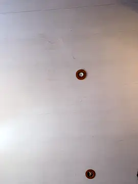 peiton steele7 online show from September 27, 8:16 pm