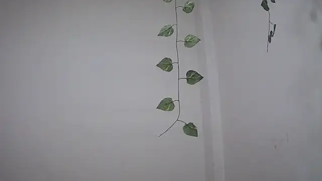 linzeysmith4 online show from October 4, 2:39 am