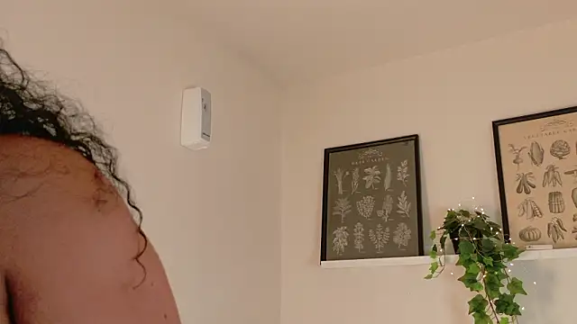 memphiswilliam online show from February 17, 4:23 am