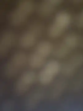 eveangelll online show from October 27, 7:59 am